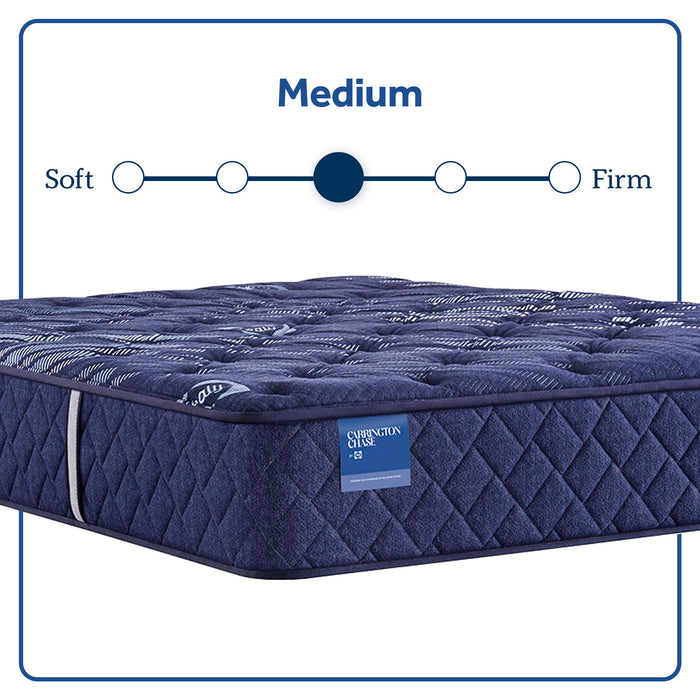 Travelers Rest - Medium Tight Top Mattress