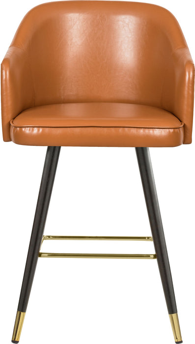 Barbosa - Counter Bar Stool (Set of 2)