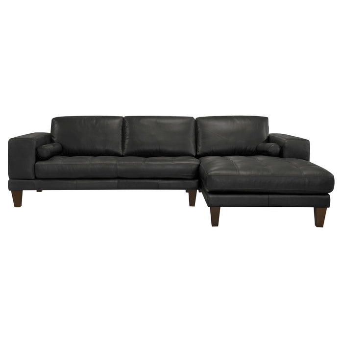 Wynne - Contemporary Sectional - Black / Brown