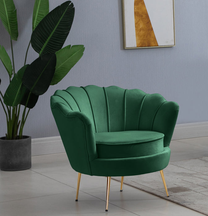 Gardenia - Accent Chair