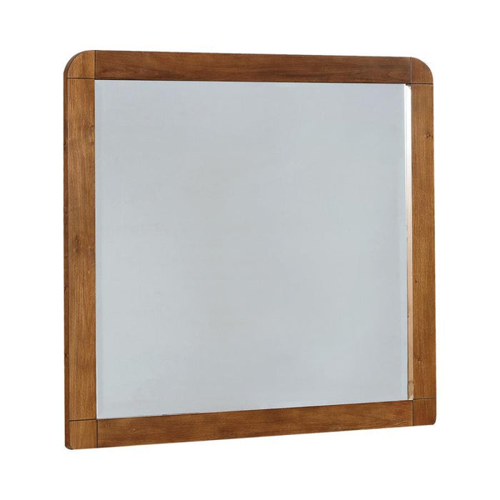 Robyn - Rectangular Dresser Mirror - Dark Walnut