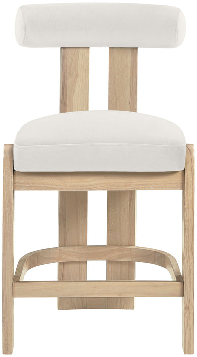 Arienzo - Velvet Performance Fabric Upholstered Counter Stool (Set of 2)