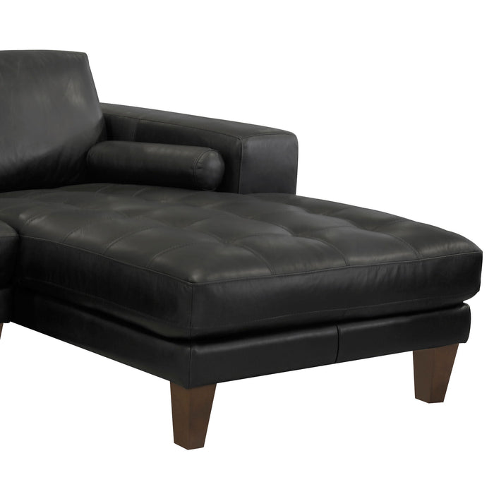 Wynne - Contemporary Sectional - Black / Brown