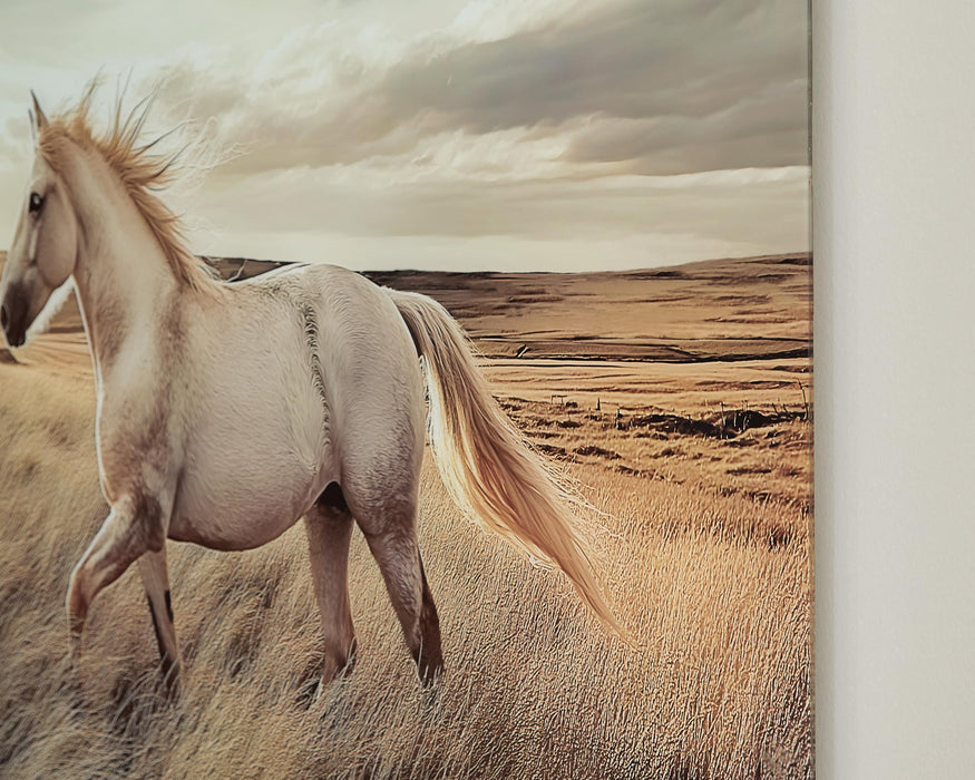 Errolville Wall Art