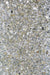 PCB1119/56/58/97 : PCB1119B4